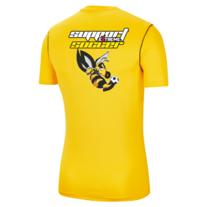 Camiseta entreno jugadores adulto Aqua Hotel