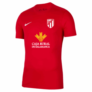 CAMISETA ENTRENO UDSM