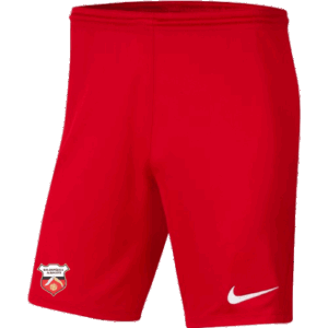PANTALÓN PRIMERA EQUIPACIÓN JUGADOR ADULTO BALOMPÉDICA