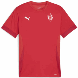 CAMISETA JUGADOR ADULTO 2ª EQUIPACIÓN ALBASIT