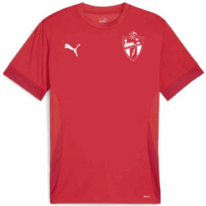 CAMISETA NIÑO SEGUNDA EQUIPACIÓN ALBASIT